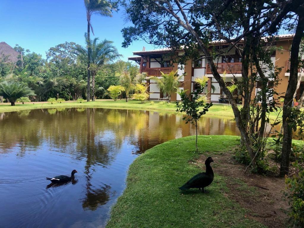 פראיה דו פורטה "Simplesmente Um Paraiso" מראה חיצוני תמונה